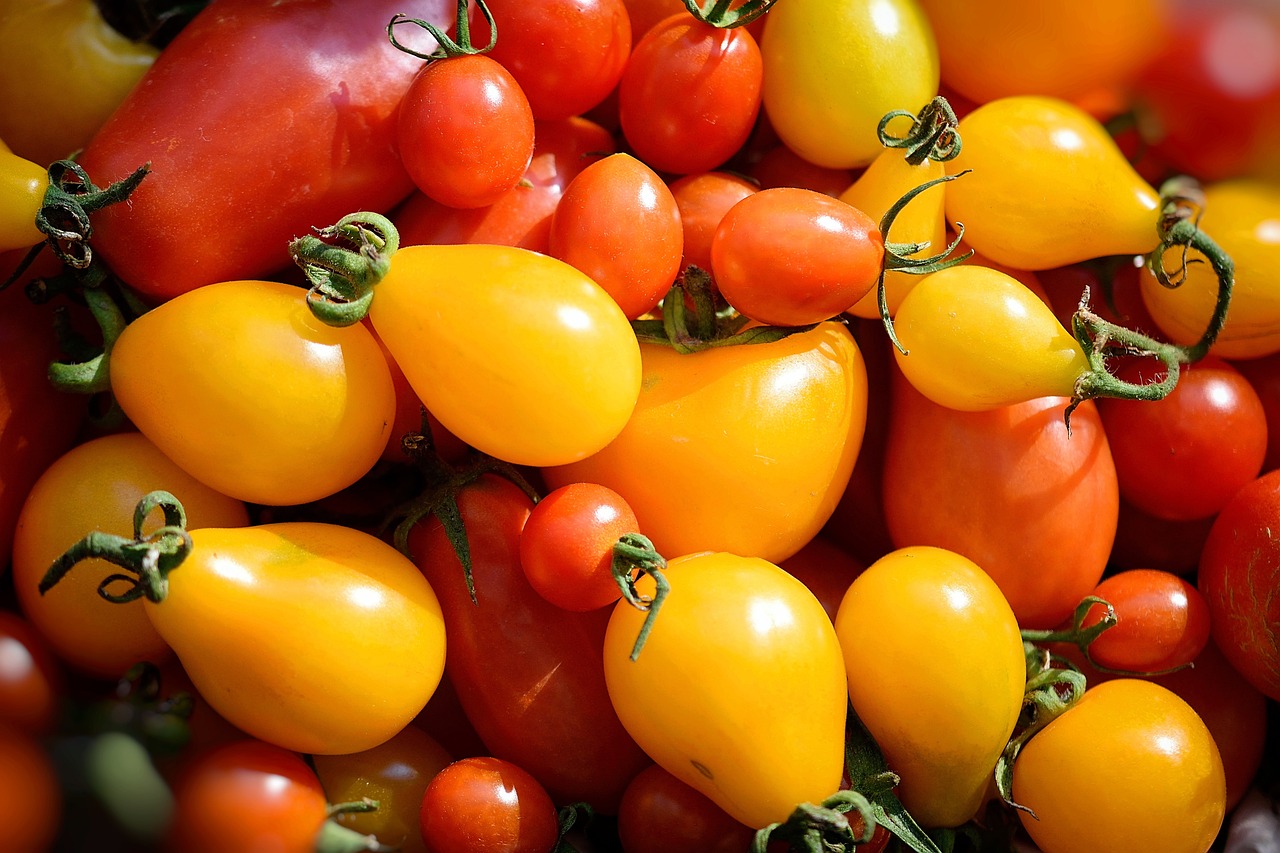 Odkryj bogactwo smaku i korzyści zdrowotnych żółtych pomidorów