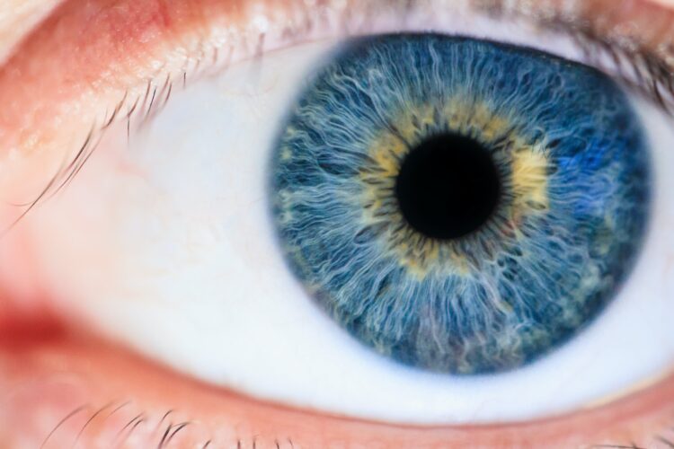 Ochrona widzenia: 6 zasad dobrego wzroku, które warto wdrożyć